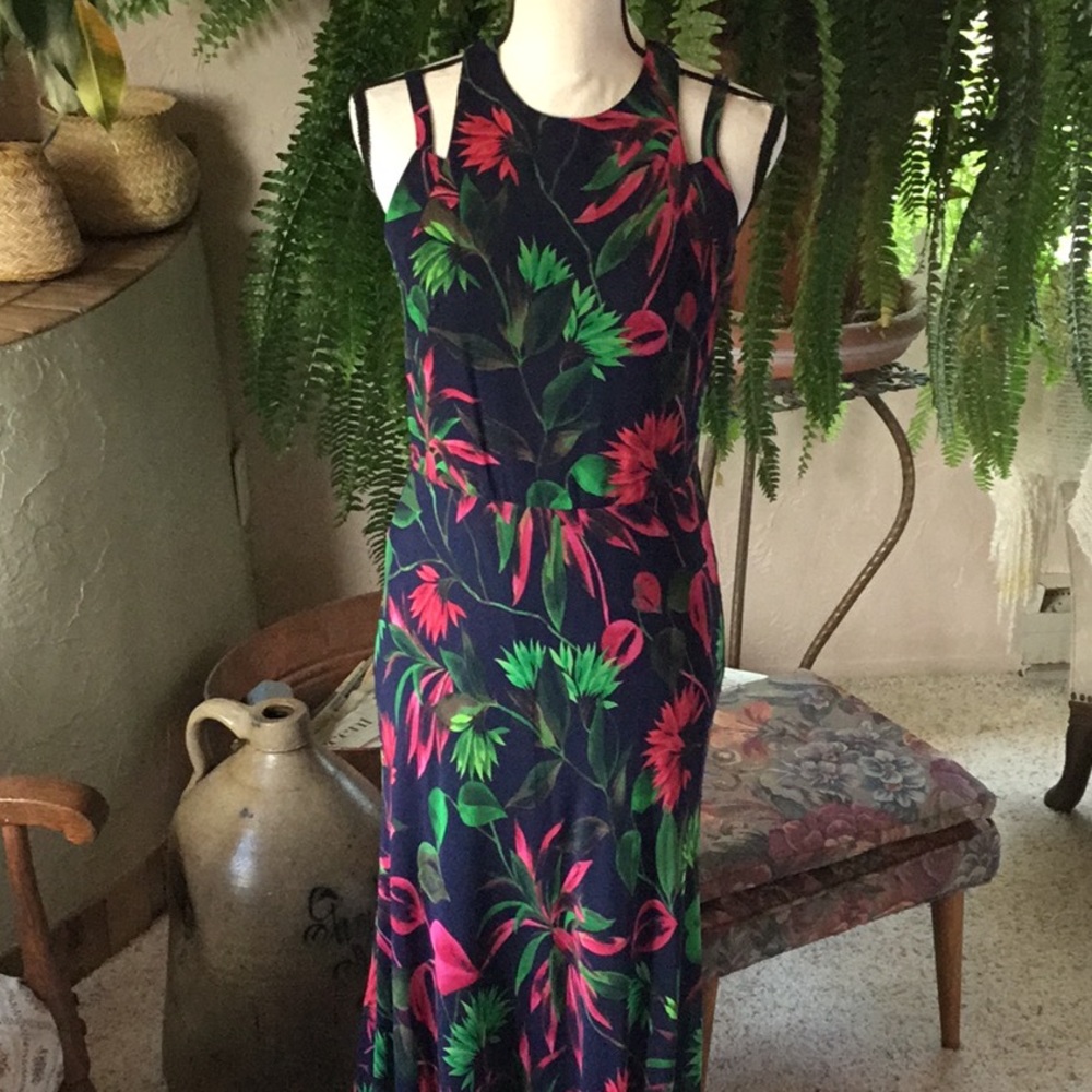 NWT Taylor Maxi Sundress